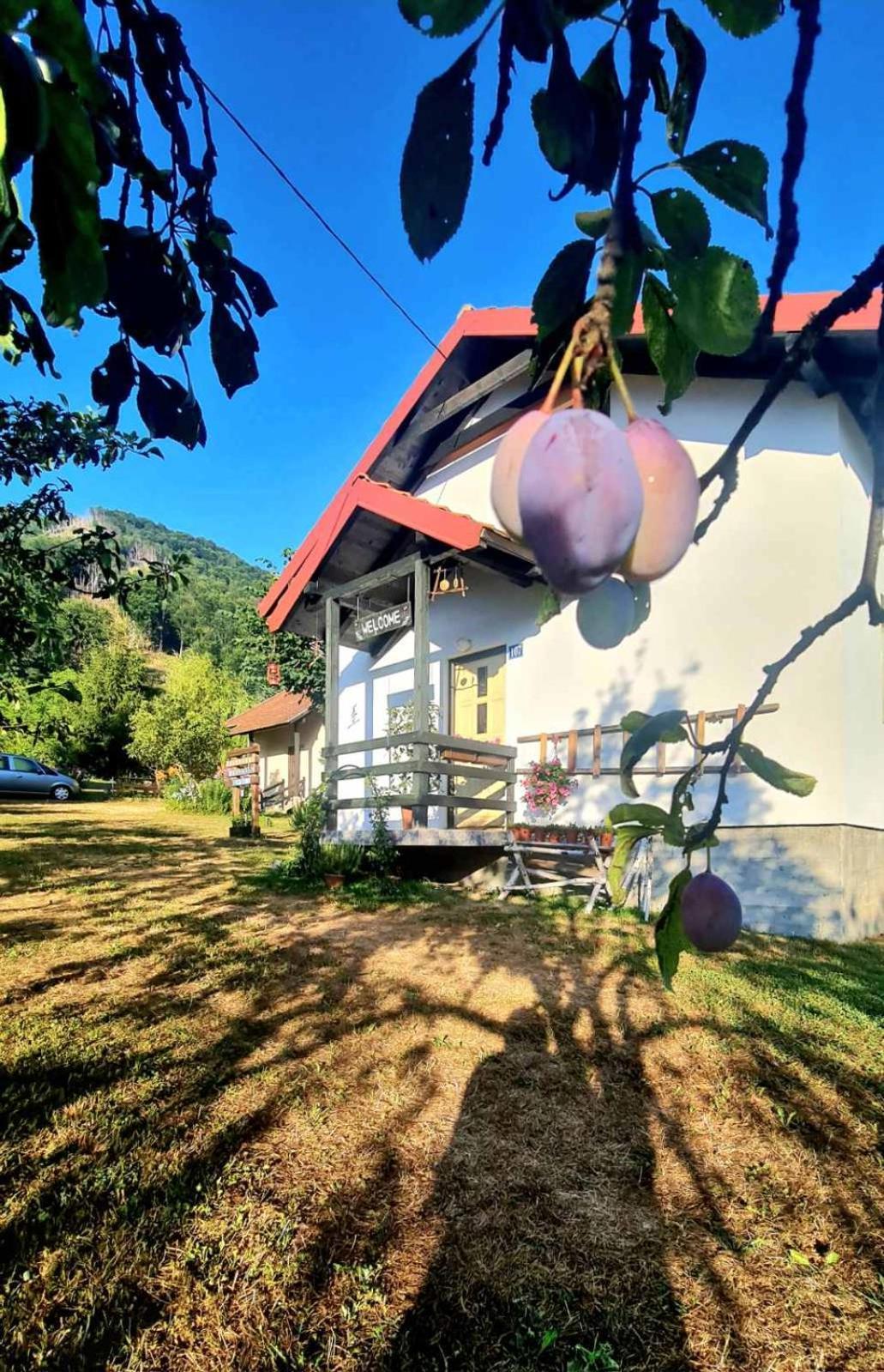Kosta'S Romantic House Plav Kültér fotó